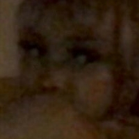 Kittypet Meztelen